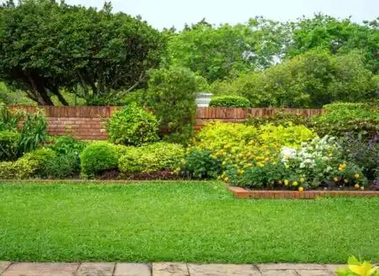 landscaping services Salem Heights